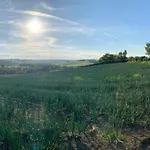 Trau * Montemarciano