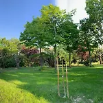 Trau * Montemarciano