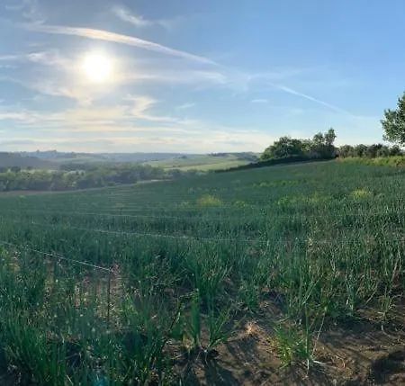 Villa Trau * Montemarciano