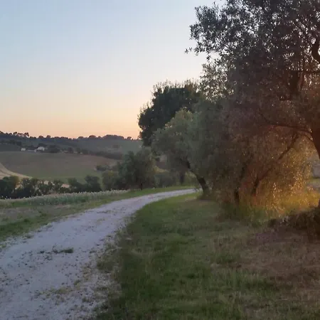 Villa Trau * Montemarciano