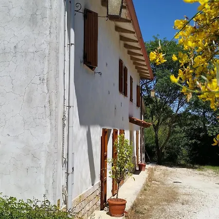 Villa Trau *
