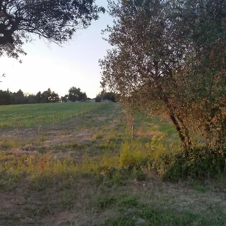 Сasa de vacaciones Villa Trau Montemarciano