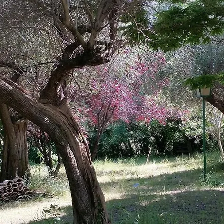 Villa Trau Сasa de vacaciones Montemarciano